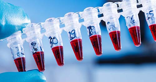 biomateriales galeria 2