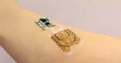 biomateriales galeria 4